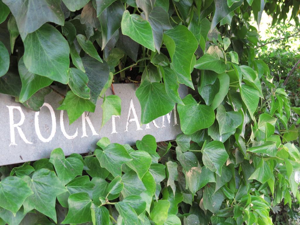 타폴리 Rock Farm B&B 외부 사진